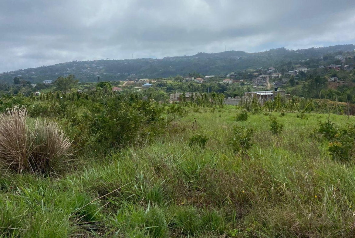 Seventh image of Lower Christiana Manchest in Christiana, Manchester, Jamaica - property is For Sale