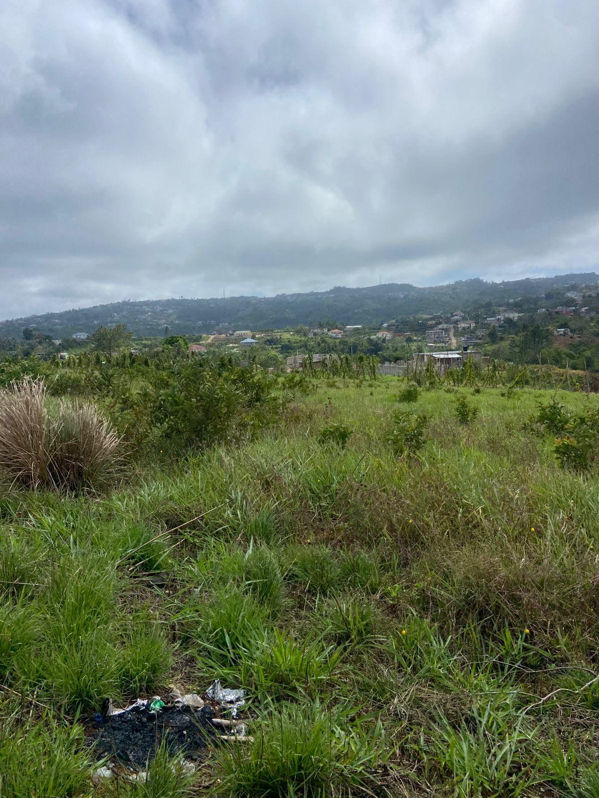 Residential-Lot-for-Sale-in-Lower-Christiana-Manchester-Jamaica Seventh image of Lower Christiana Manchest in Christiana, Manchester, Jamaica - property is For Sale