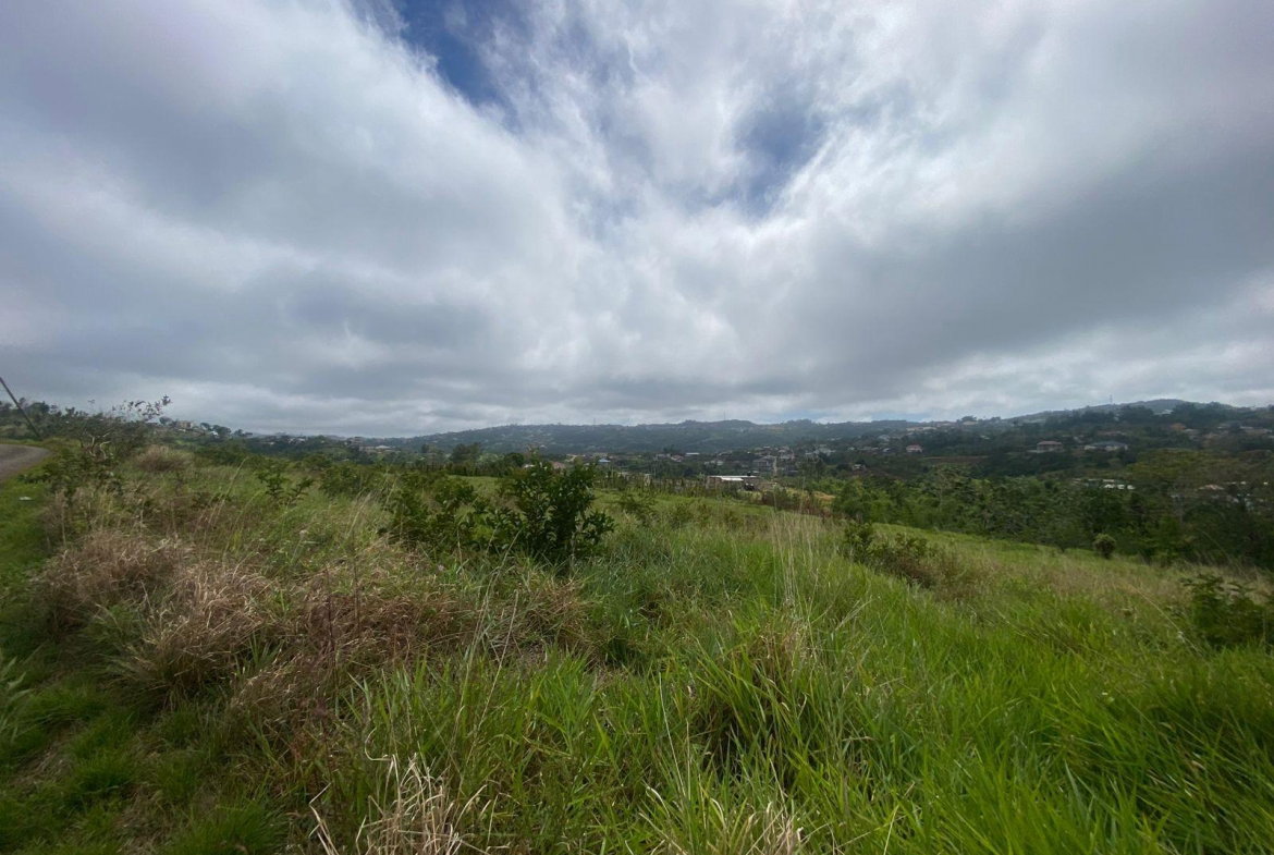 Tenth image of Lower Christiana Manchest in Christiana, Manchester, Jamaica - property is For Sale