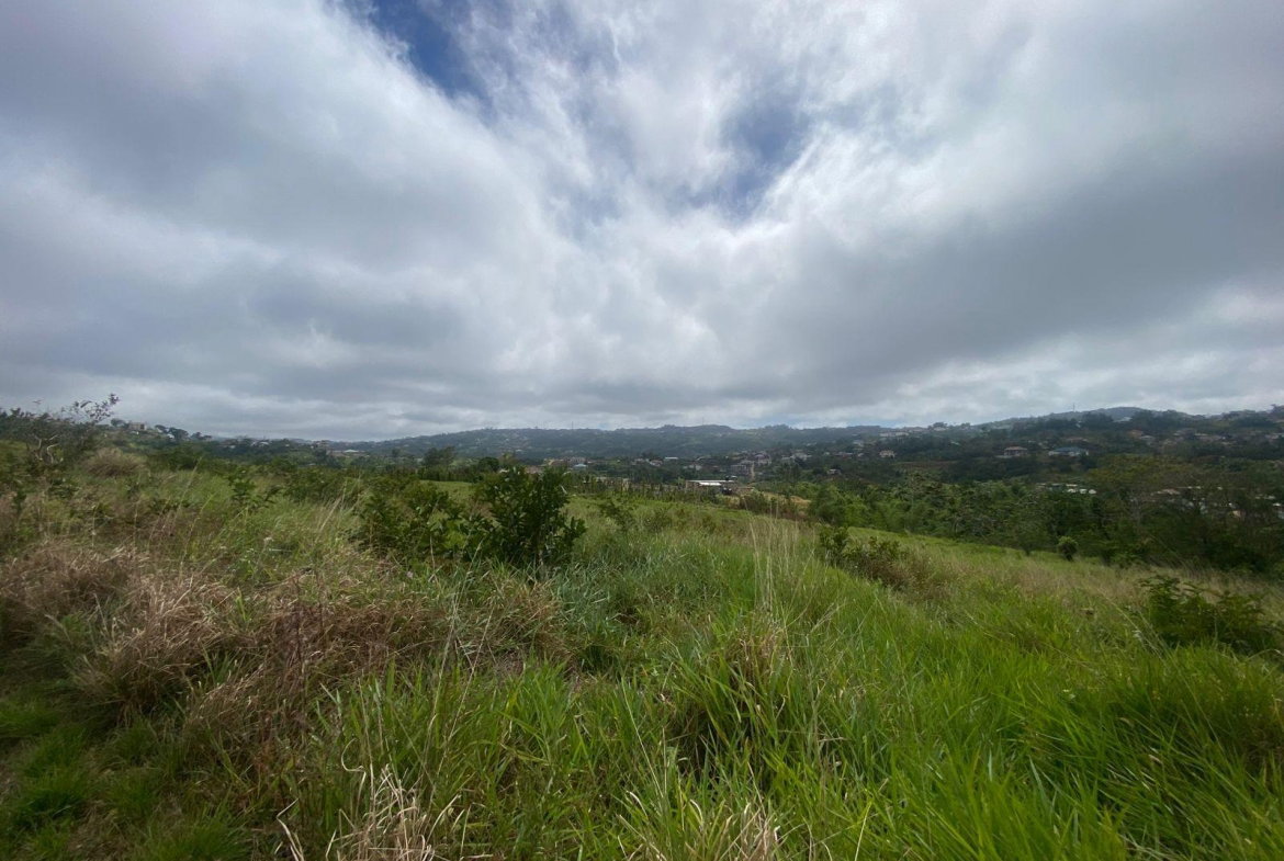 Eleventh image of Lower Christiana Manchest in Christiana, Manchester, Jamaica - property is For Sale