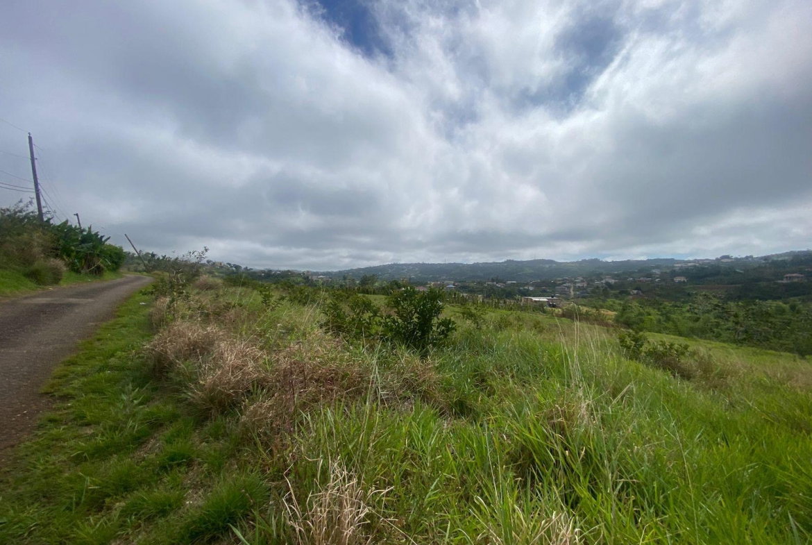 Twelfth image of Lower Christiana Manchest in Christiana, Manchester, Jamaica - property is For Sale