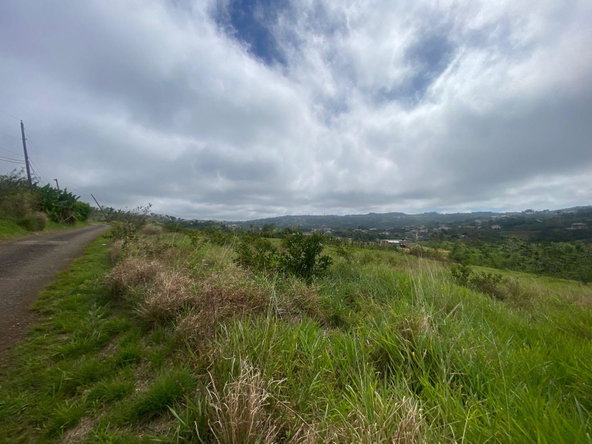 Twelfth image of Lower Christiana Manchest in Christiana, Manchester, Jamaica - property is For Sale