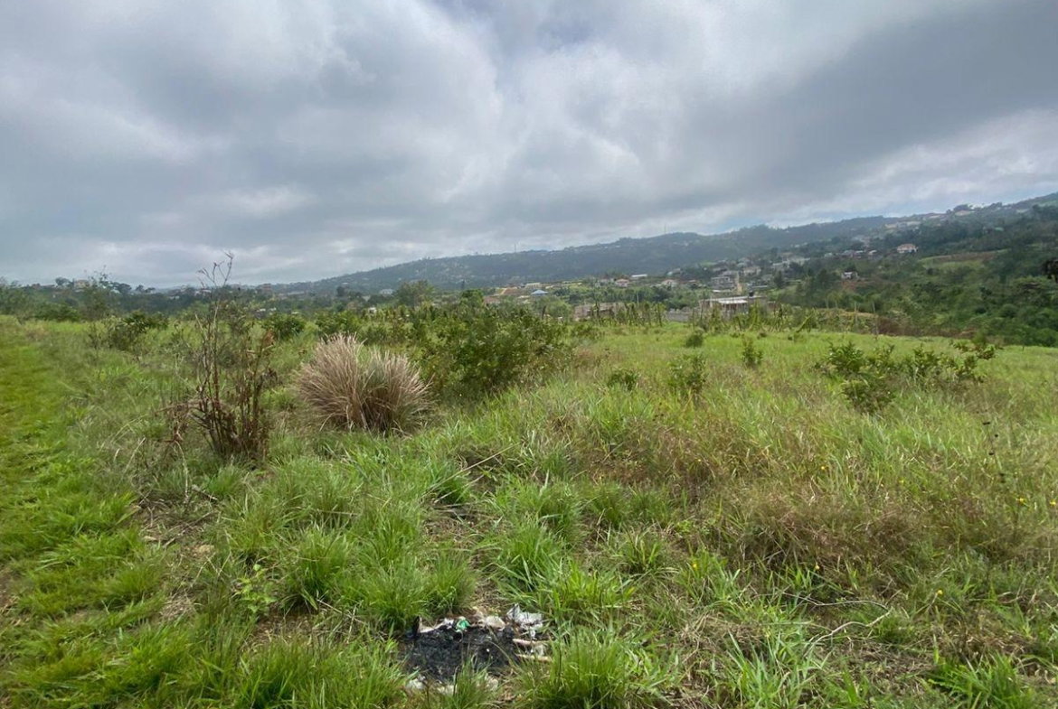 Thirteenth image of Lower Christiana Manchest in Christiana, Manchester, Jamaica - property is For Sale
