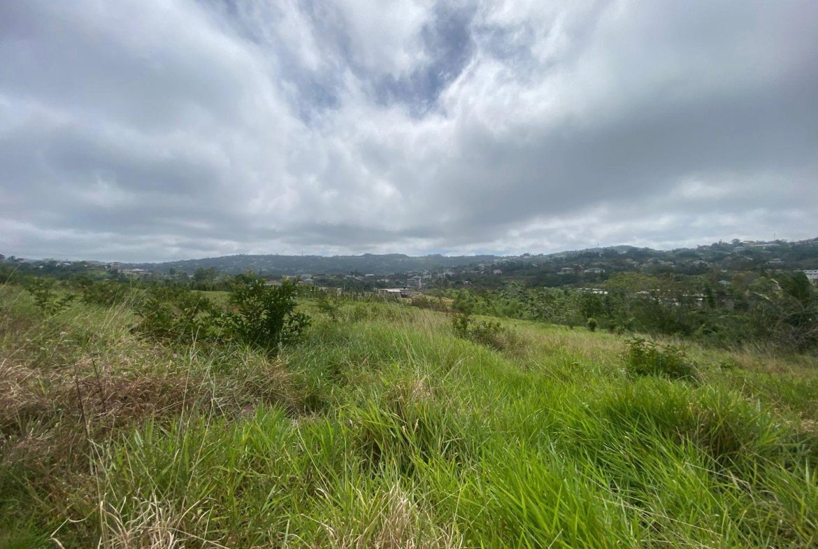Fifteenth image of Lower Christiana Manchest in Christiana, Manchester, Jamaica - property is For Sale