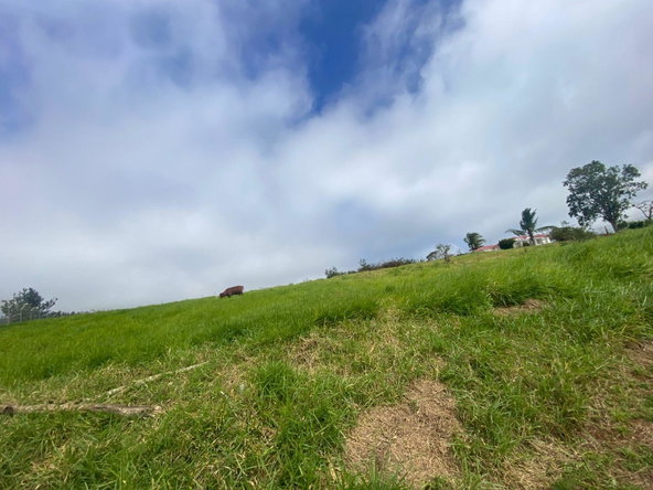 Fourth image of Lower Christiana Manchest in Christiana, Manchester, Jamaica - property is For Sale