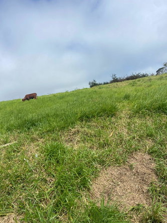 Sixth image of Lower Christiana Manchest in Christiana, Manchester, Jamaica - property is For Sale