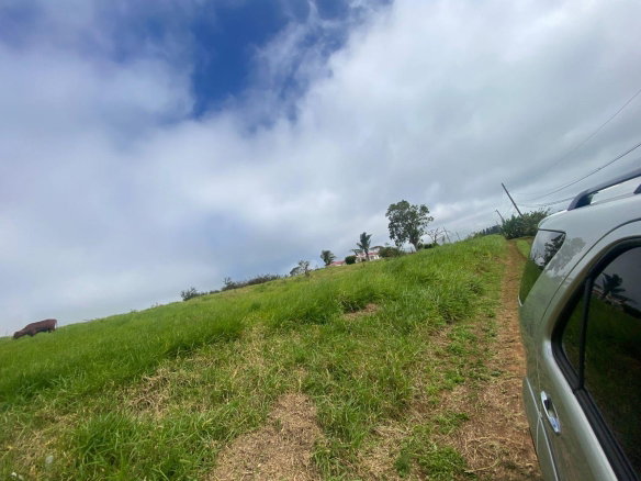 First image of Lower Christiana Manchest in Christiana, Manchester, Jamaica - property is For Sale