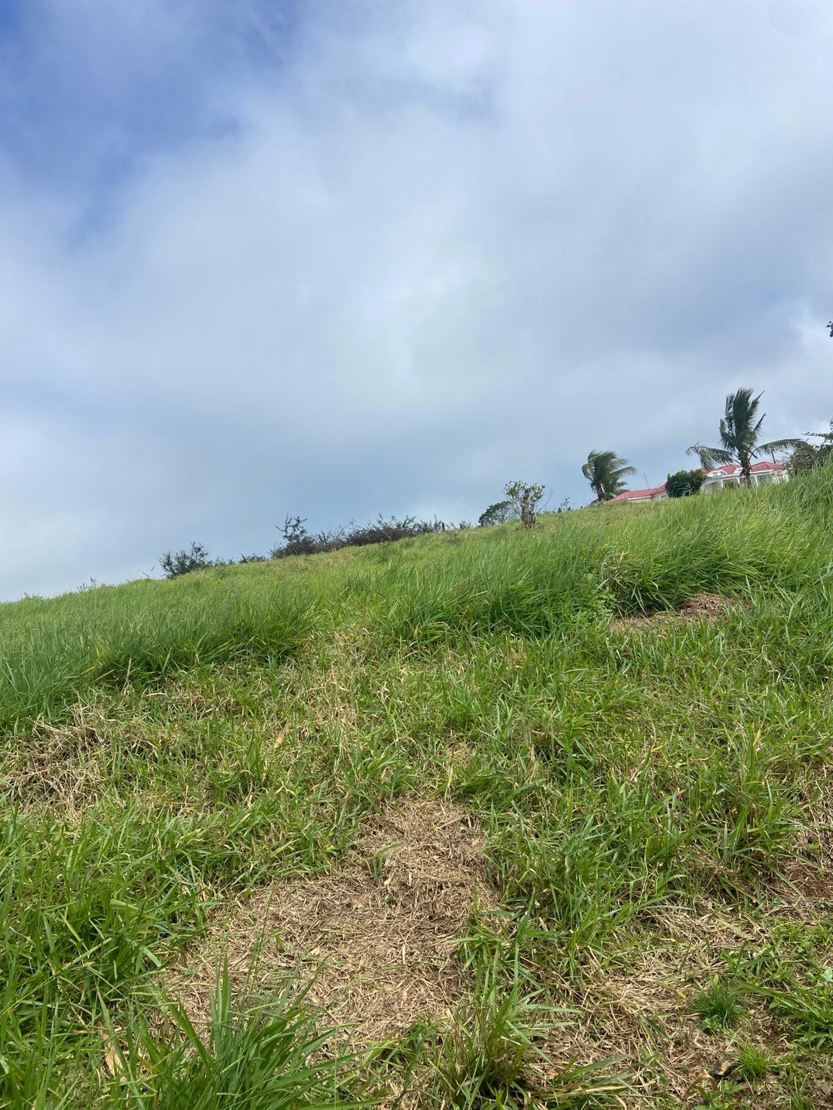 Seventh image of Lower Christiana Manchest in Christiana, Manchester, Jamaica - property is For Sale