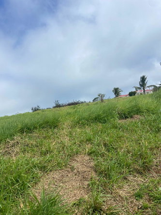 Seventh image of Lower Christiana Manchest in Christiana, Manchester, Jamaica - property is For Sale