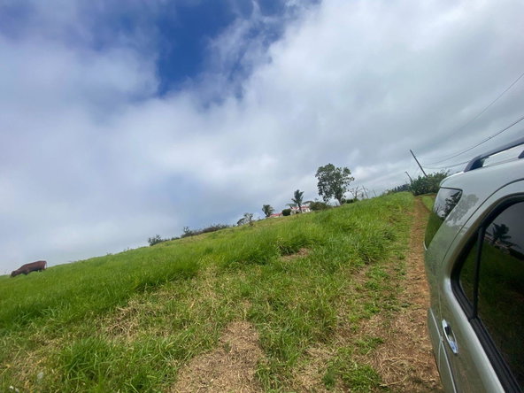 First image of Lower Christiana Manchest in Christiana, Manchester, Jamaica - property is For Sale