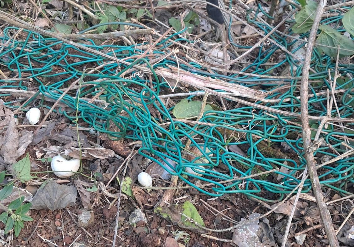 Fifth image of 3 Maverley Mountain, Red hi in Kingston 19, St. Andrew, Jamaica - property is For Sale