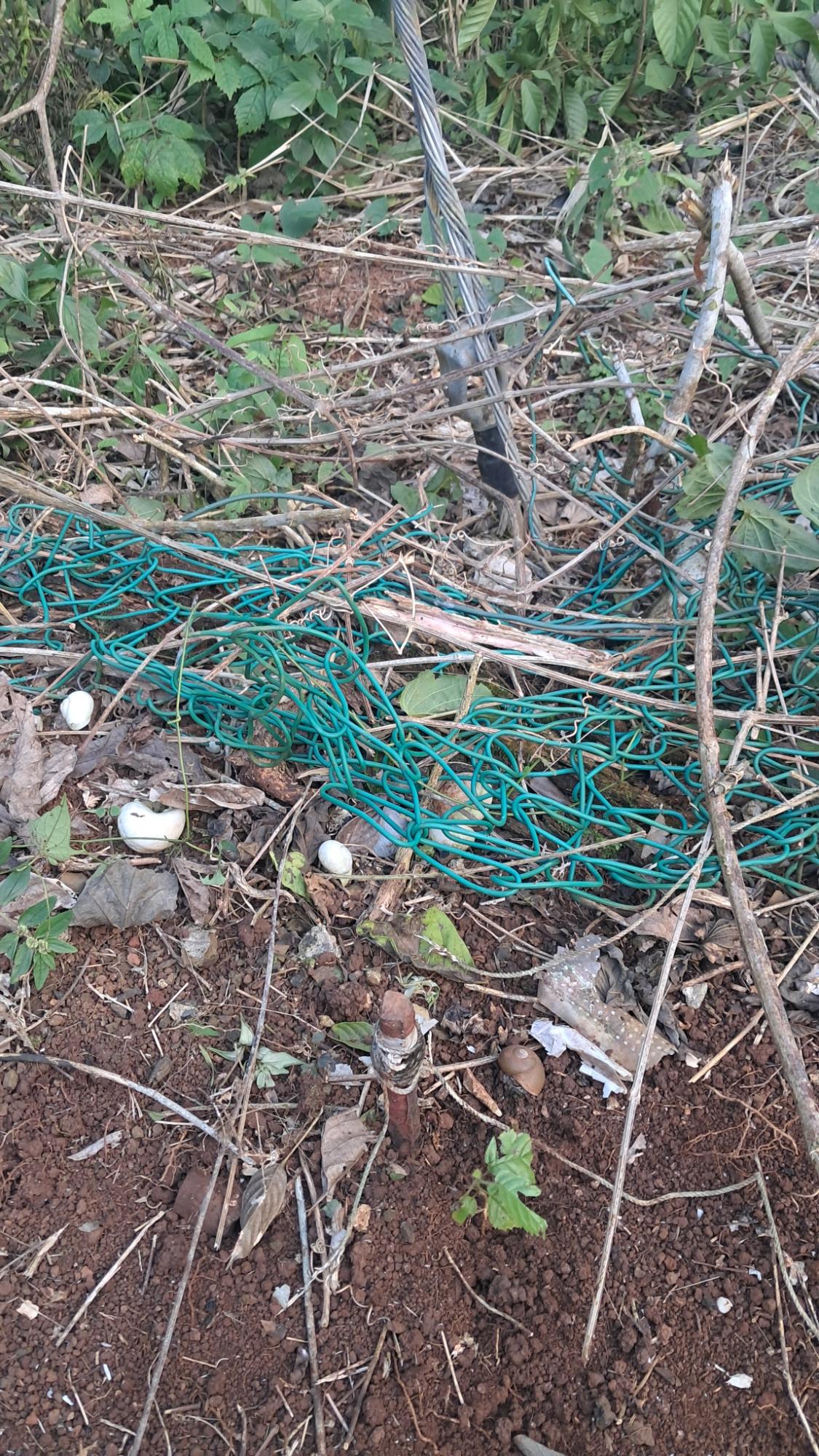 Fifth image of 3 Maverley Mountain, Red hi in Kingston 19, St. Andrew, Jamaica - property is For Sale