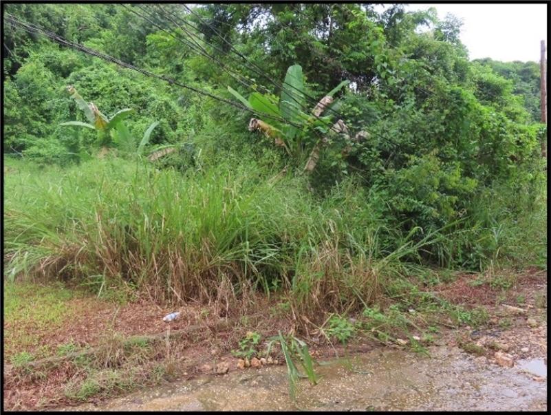 First image of 3 Maverley Mountain, Red hi in Kingston 19, St. Andrew, Jamaica - property is For Sale