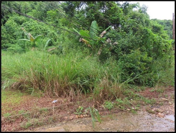 First image of 3 Maverley Mountain, Red hi in Kingston 19, St. Andrew, Jamaica - property is For Sale