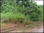 First image of 3 Maverley Mountain, Red hi in Kingston 19, St. Andrew, Jamaica - property is For Sale