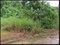 First image of 3 Maverley Mountain, Red hi in Kingston 19, St. Andrew, Jamaica - property is For Sale