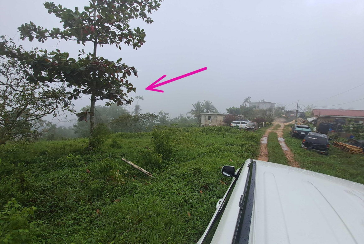 First image of Rock Hall St. Andew in Red Hills, St. Andrew, Jamaica - property is For Sale