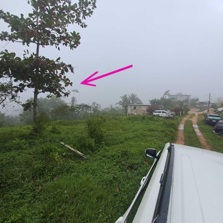 First image of Rock Hall St. Andew in Red Hills, St. Andrew, Jamaica - property is For Sale