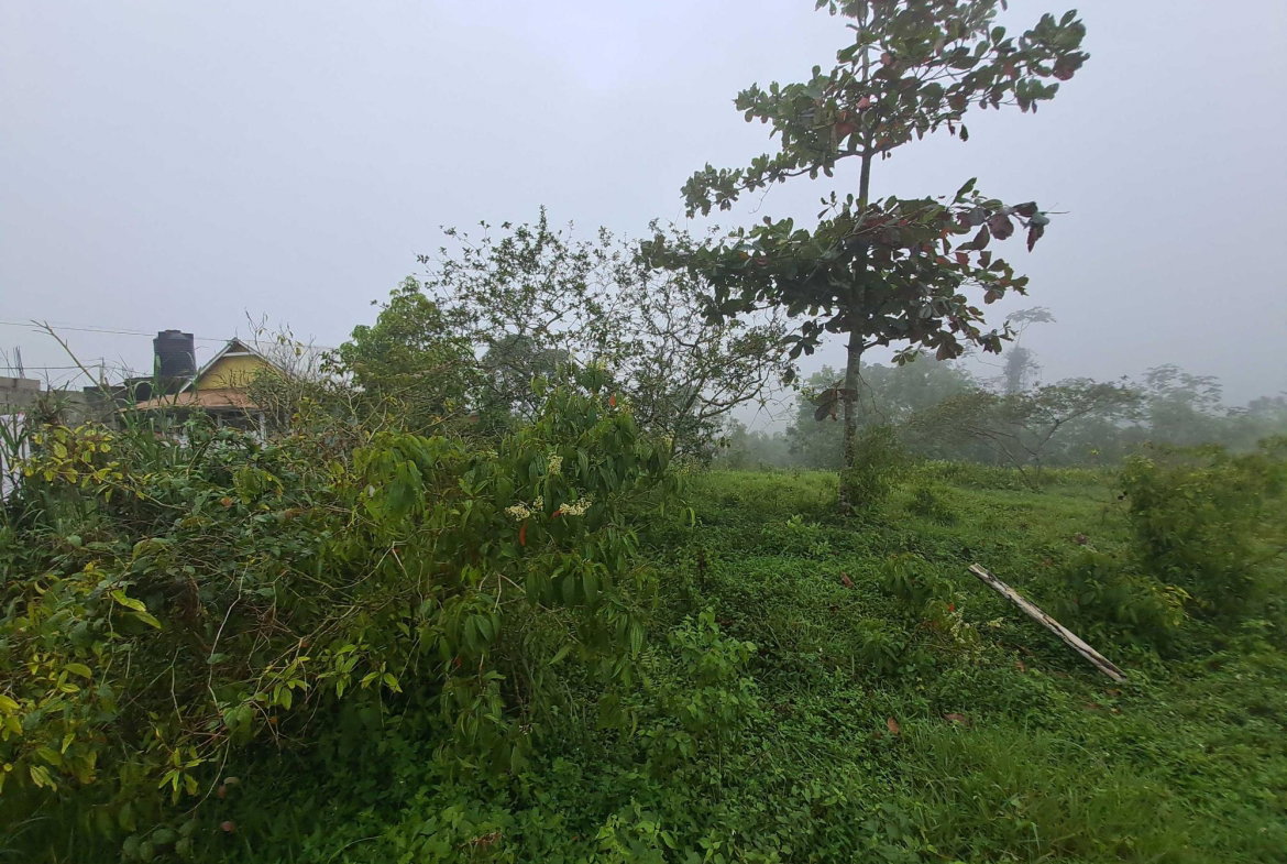 Second image of Lot Rock Hall St. Andrew in Red Hills, St. Andrew, Jamaica - property is For Sale