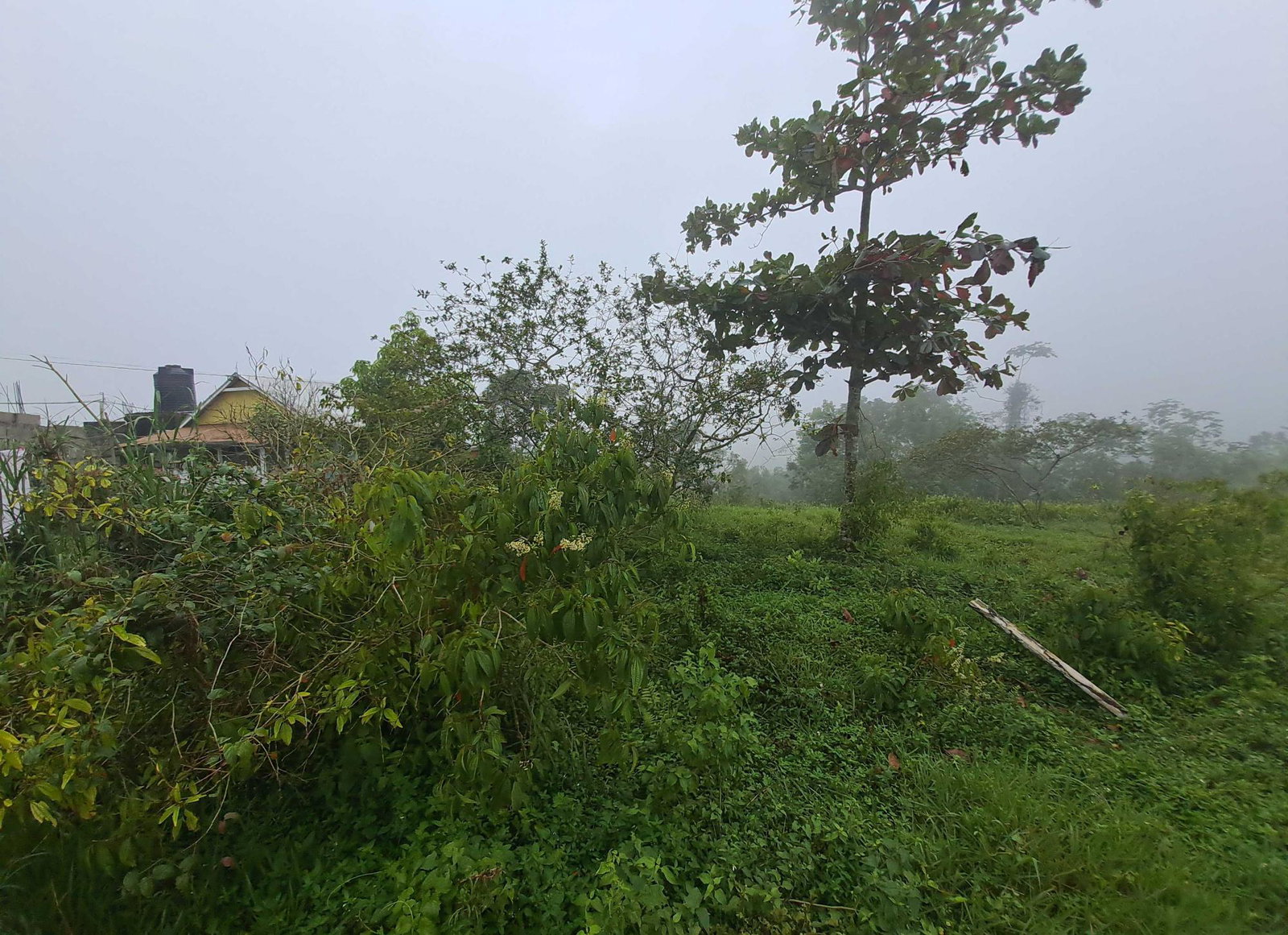 Residential-Lot-for-Sale-in-Rock-Hall-St.-Andrew-Jamaica-Scenic-Countryside-Property Second image of Lot Rock Hall St. Andrew in Red Hills, St. Andrew, Jamaica - property is For Sale