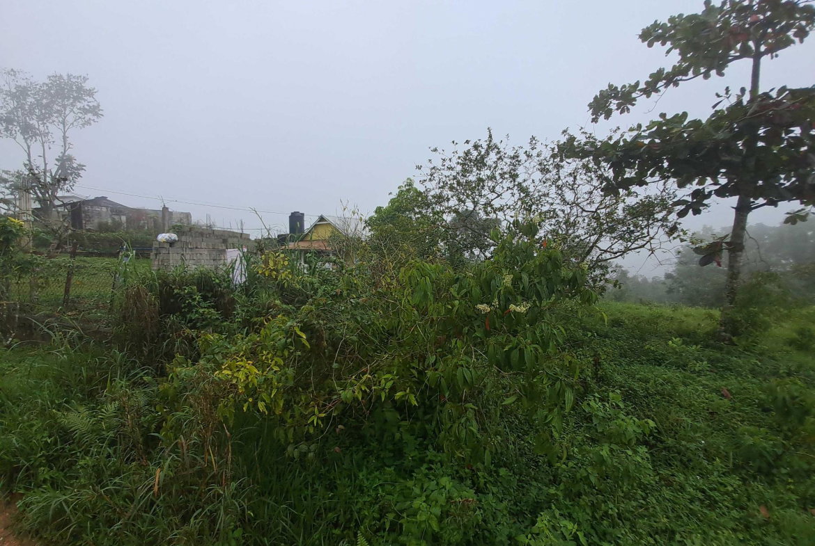 First image of Lot Rock Hall St. Andrew in Red Hills, St. Andrew, Jamaica - property is For Sale