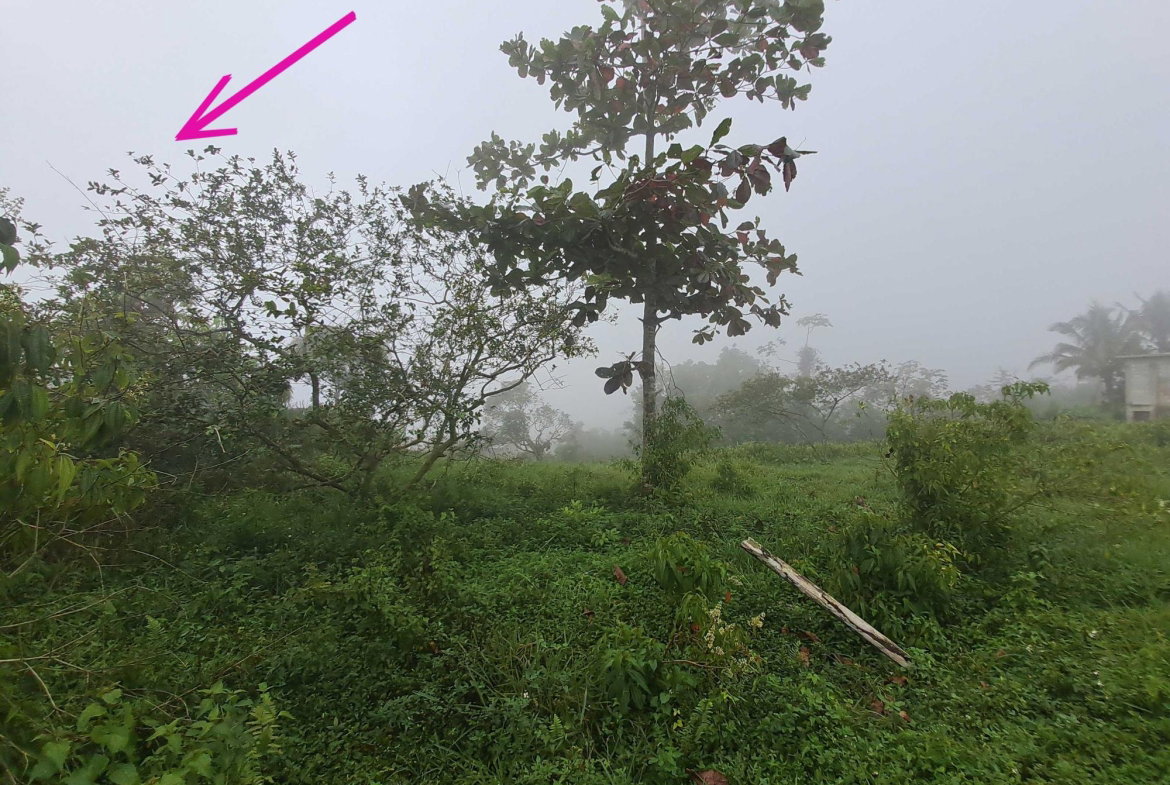 Third image of Lot Rock Hall St. Andrew in Red Hills, St. Andrew, Jamaica - property is For Sale