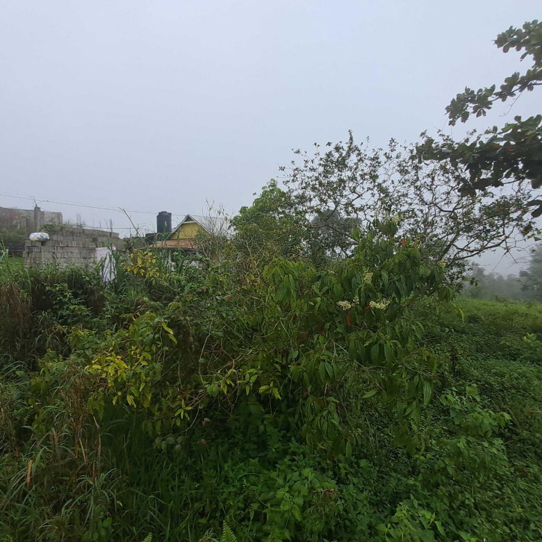 First image of Lot Rock Hall St. Andrew in Red Hills, St. Andrew, Jamaica - property is For Sale