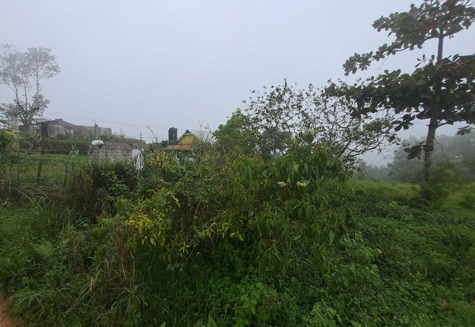 Residential-Lot-for-Sale-in-Rock-Hall-St.-Andrew-Jamaica-Scenic-Countryside-Property First image of Lot Rock Hall St. Andrew in Red Hills, St. Andrew, Jamaica - property is For Sale