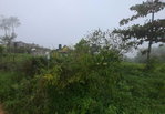 First image of Lot Rock Hall St. Andrew in Red Hills, St. Andrew, Jamaica - property is For Sale