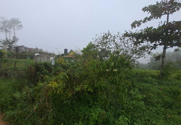 First image of Lot Rock Hall St. Andrew in Red Hills, St. Andrew, Jamaica - property is For Sale