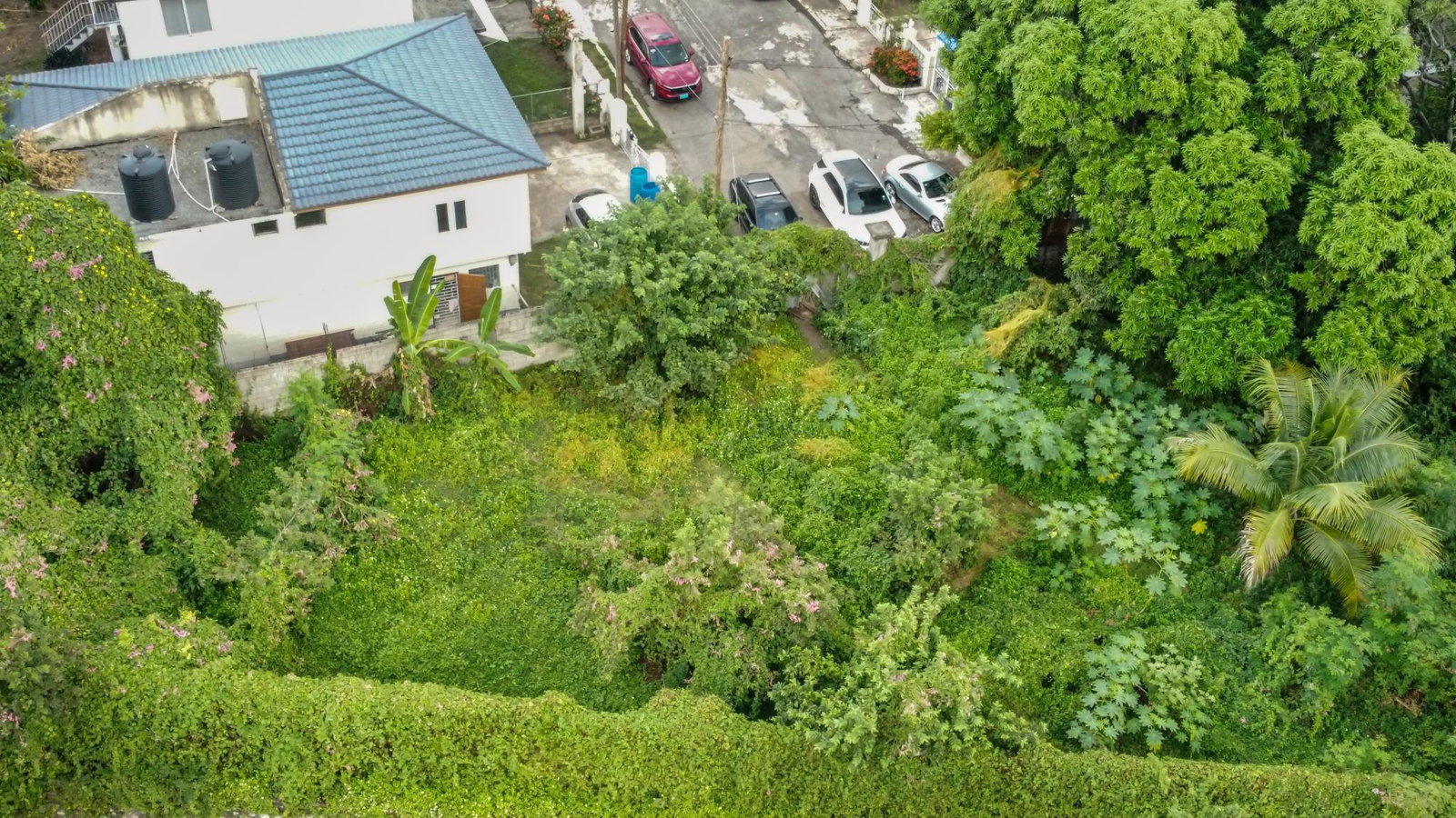 Twelfth image of 18 Minerva Place in Kingston 20, St. Andrew, Jamaica - property is For Sale