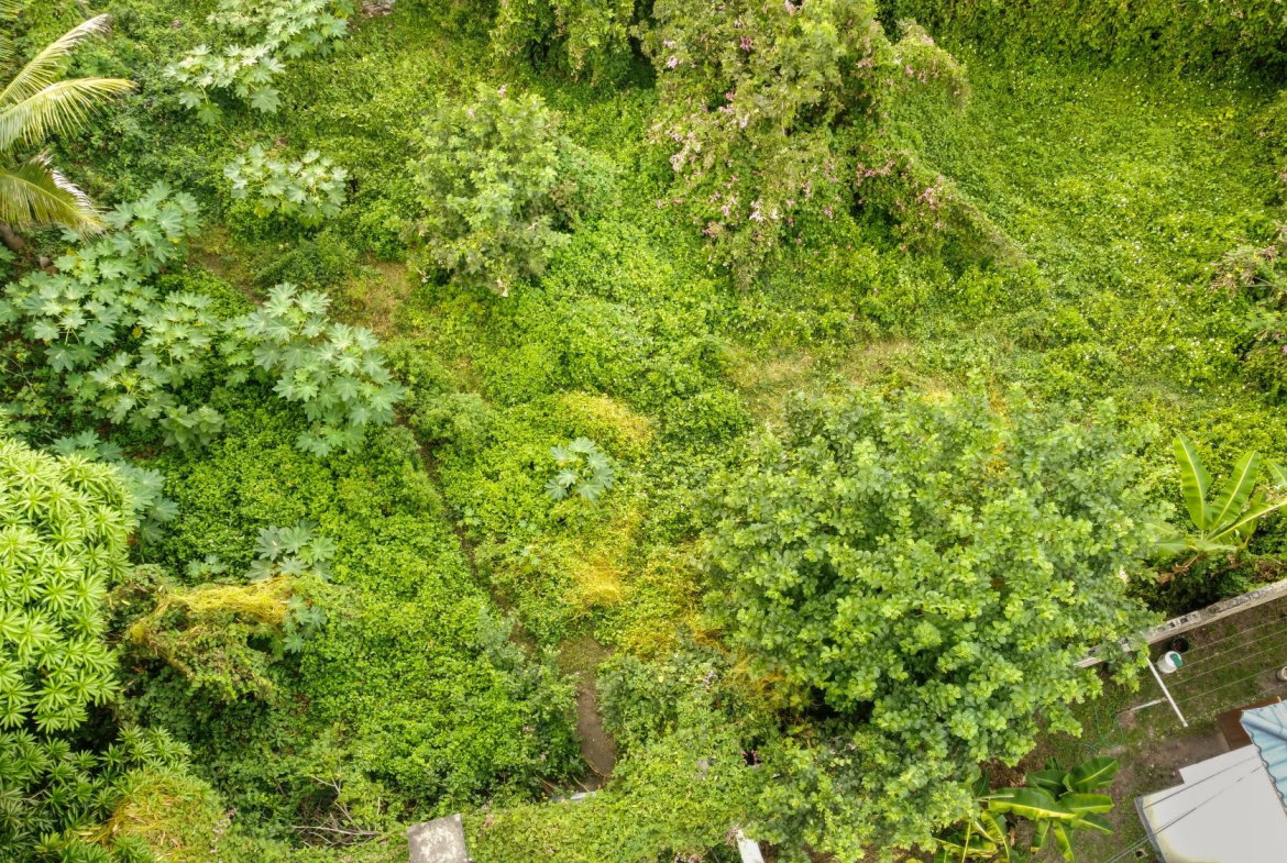 Seventeenth image of 18 Minerva Place in Kingston 20, St. Andrew, Jamaica - property is For Sale