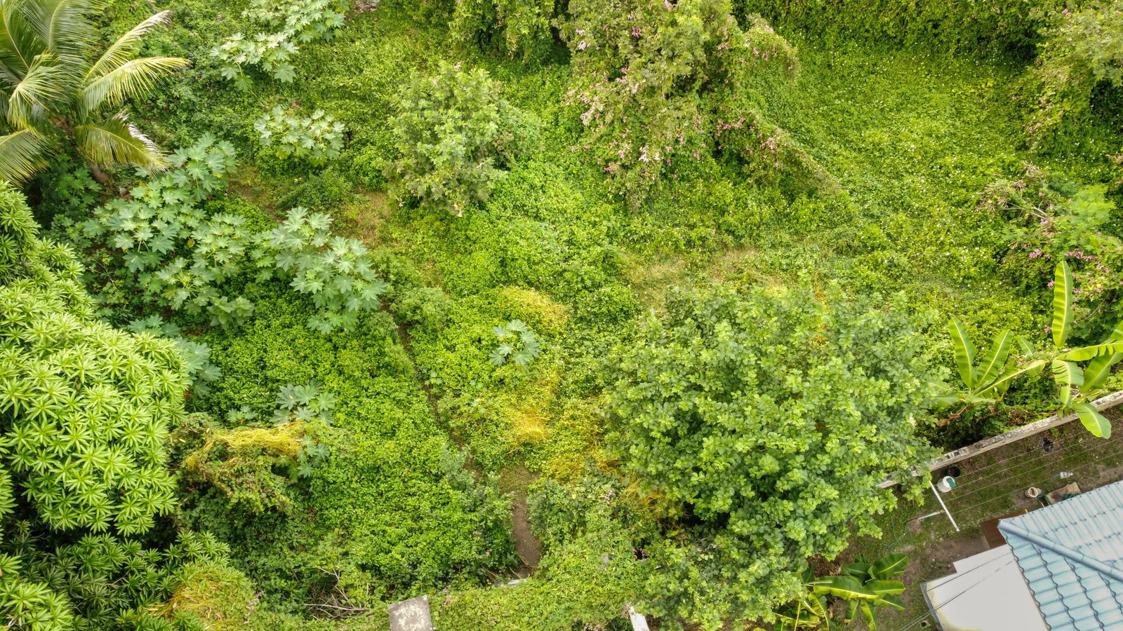 Seventeenth image of 18 Minerva Place in Kingston 20, St. Andrew, Jamaica - property is For Sale