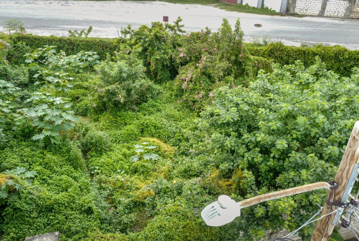 Eighteenth image of 18 Minerva Place in Kingston 20, St. Andrew, Jamaica - property is For Sale