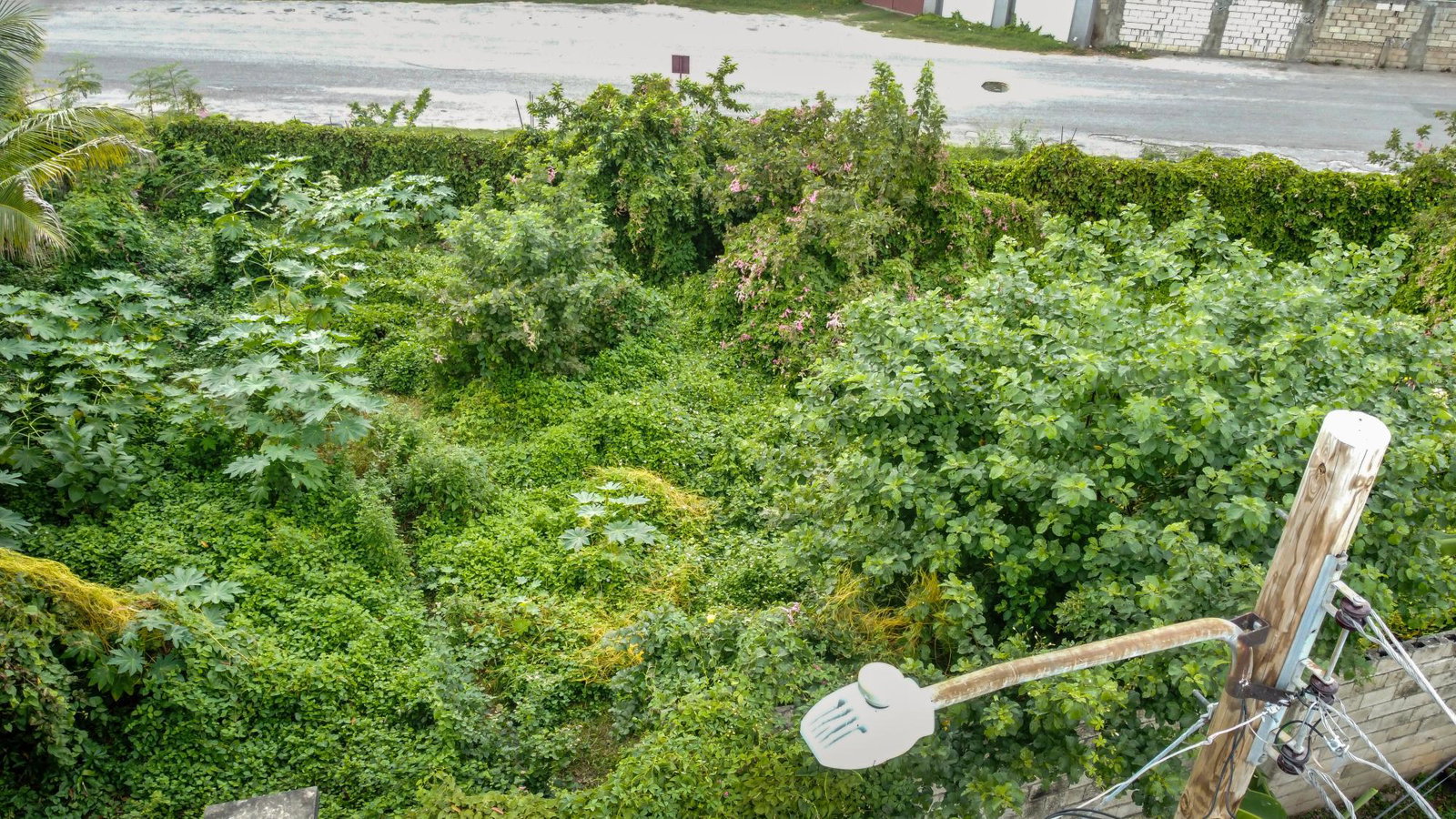 Eighteenth image of 18 Minerva Place in Kingston 20, St. Andrew, Jamaica - property is For Sale