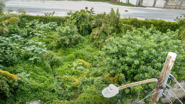 Eighteenth image of 18 Minerva Place in Kingston 20, St. Andrew, Jamaica - property is For Sale