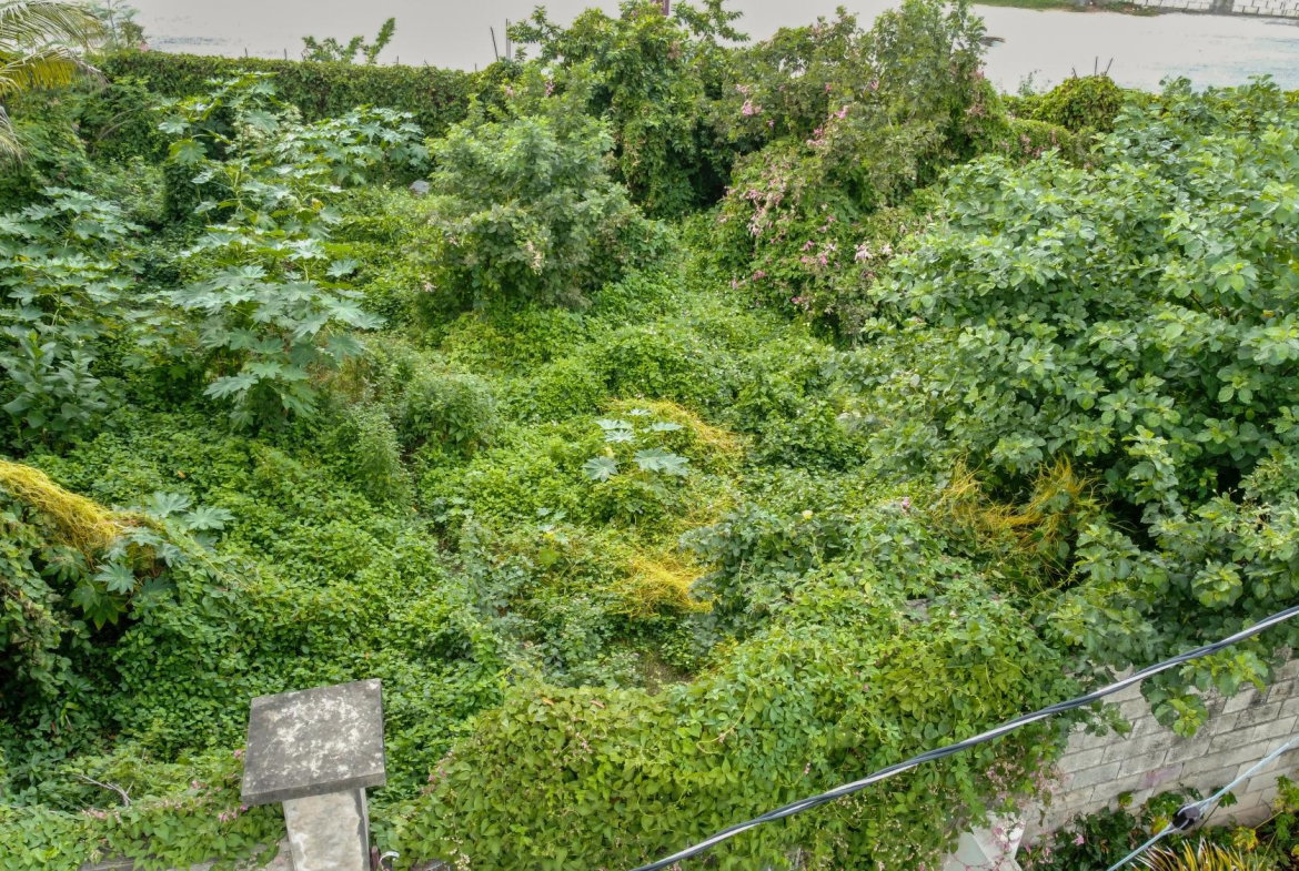 Nineteenth image of 18 Minerva Place in Kingston 20, St. Andrew, Jamaica - property is For Sale