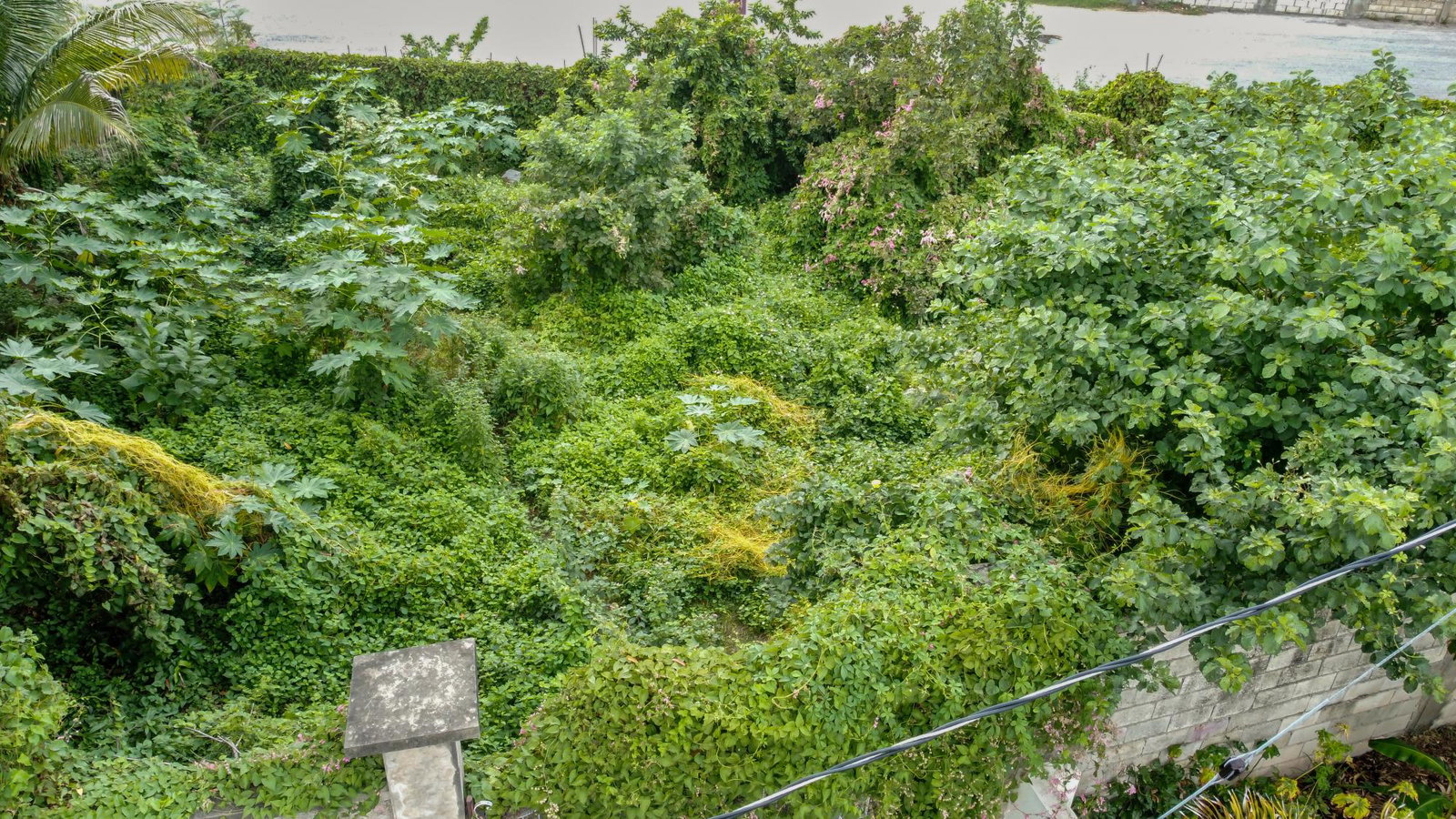 Nineteenth image of 18 Minerva Place in Kingston 20, St. Andrew, Jamaica - property is For Sale