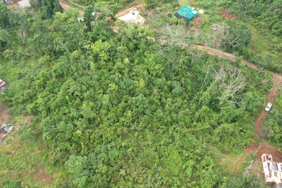 Fourth image of Windsor Forest in Windsor Forest, Manchester, Jamaica - property is For Sale