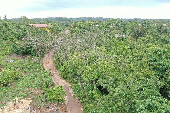 Eighth image of Windsor Forest in Windsor Forest, Manchester, Jamaica - property is For Sale