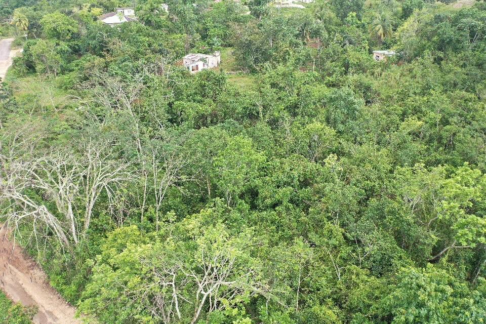 Tenth image of Windsor Forest in Windsor Forest, Manchester, Jamaica - property is For Sale