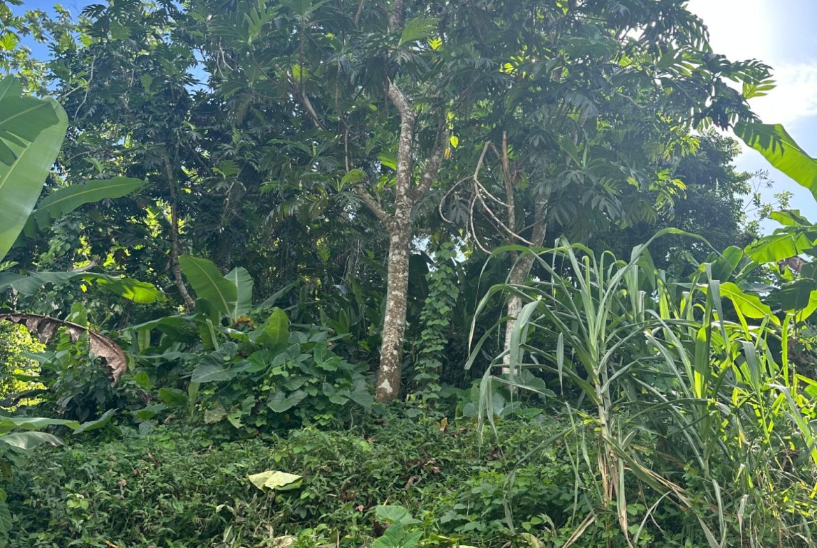 Third image of Airy Castle in Kingston 9, St. Andrew, Jamaica - property is For Sale