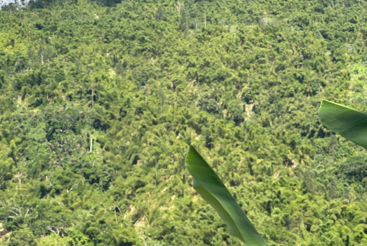 Fourth image of Airy Castle in Kingston 9, St. Andrew, Jamaica - property is For Sale