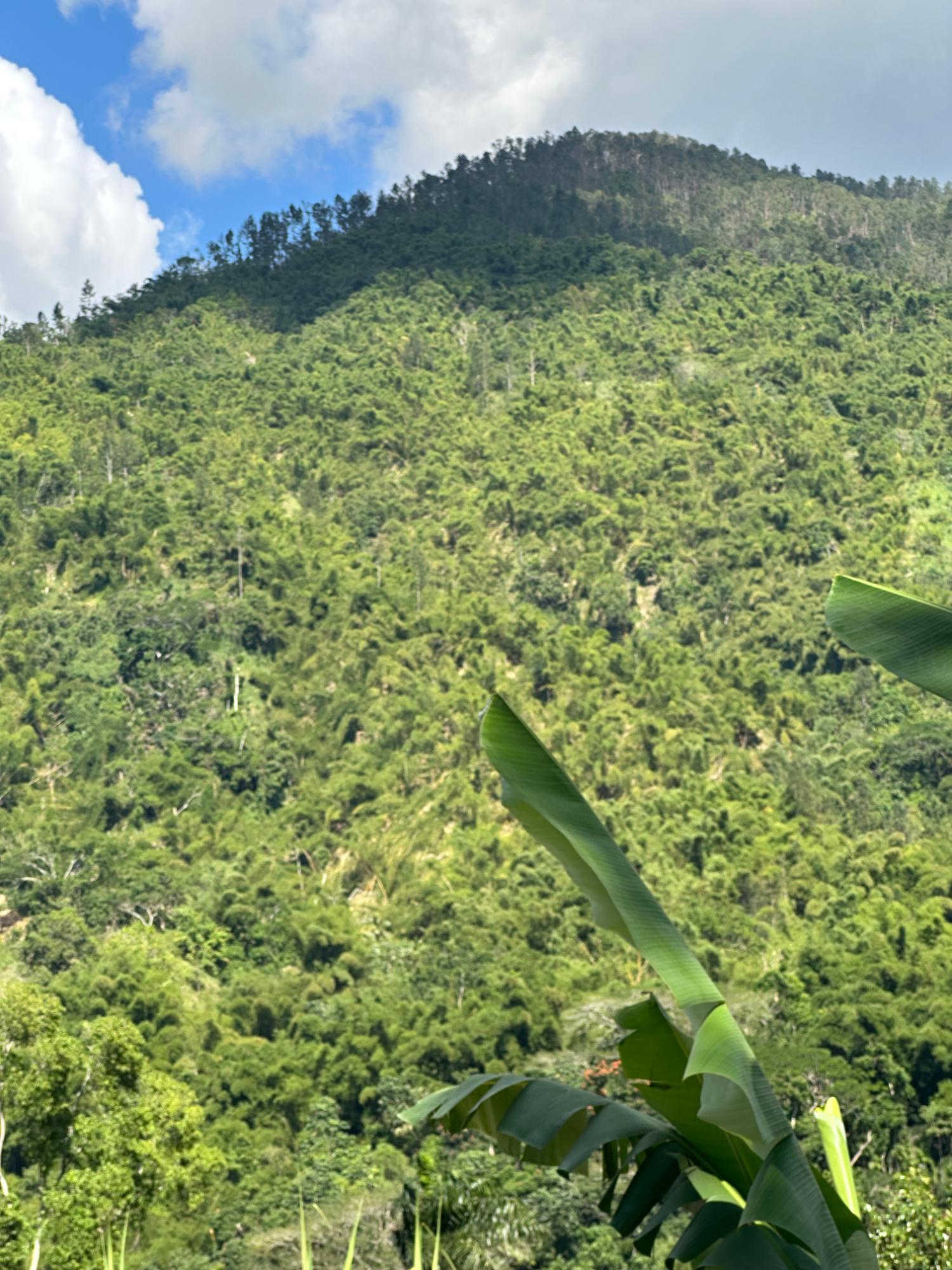 Fourth image of Airy Castle in Kingston 9, St. Andrew, Jamaica - property is For Sale