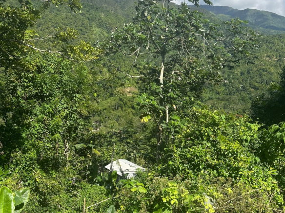 First image of Airy Castle in Kingston 9, St. Andrew, Jamaica - property is For Sale