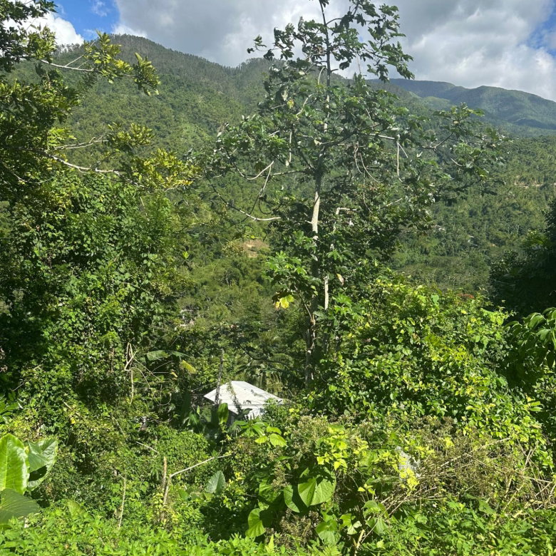 First image of Airy Castle in Kingston 9, St. Andrew, Jamaica - property is For Sale