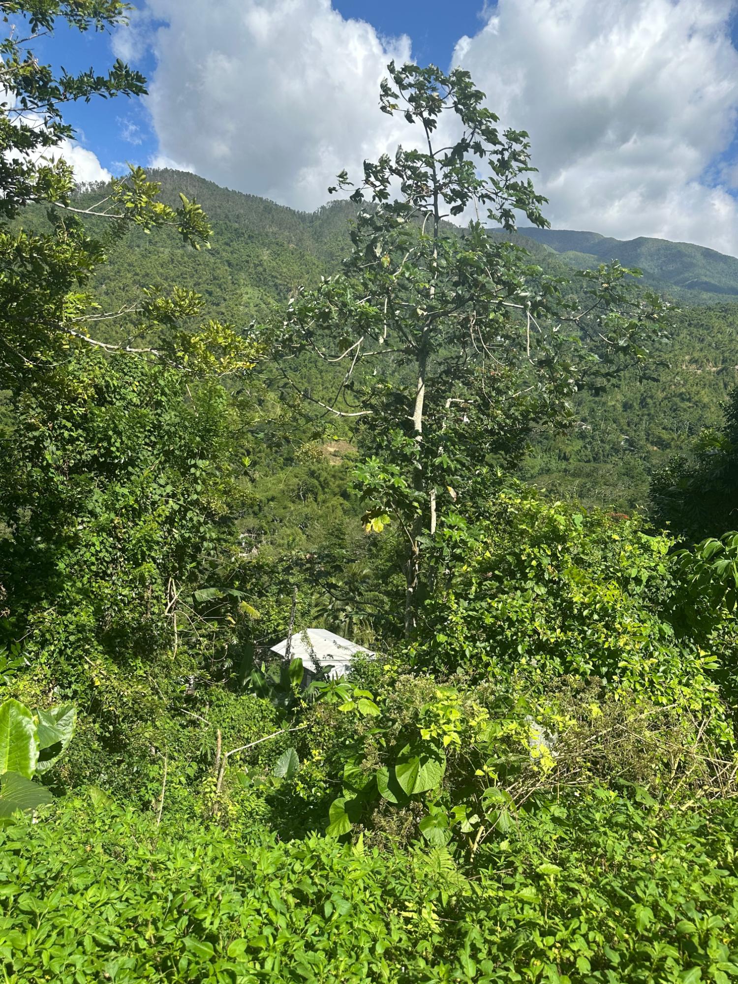 First image of Airy Castle in Kingston 9, St. Andrew, Jamaica - property is For Sale