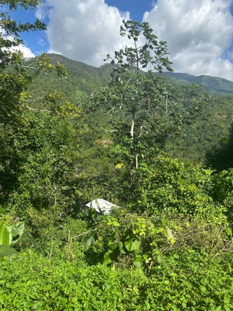 First image of Airy Castle in Kingston 9, St. Andrew, Jamaica - property is For Sale