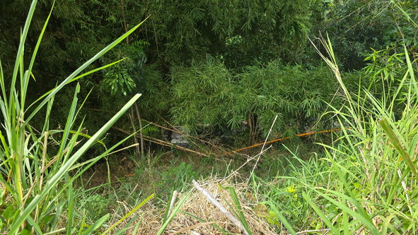 Twenty-Second image of The Cottage, Irish Town in Irish Town P.A., St. Andrew, Jamaica - property is For Sale