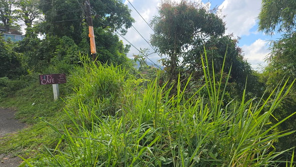 Twenty-Fifth image of The Cottage, Irish Town in Irish Town P.A., St. Andrew, Jamaica - property is For Sale